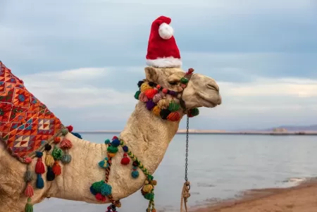 Natale e Capodanno in Egitto Offerte | Tra Piramidi, Crociera e Mar Rosso